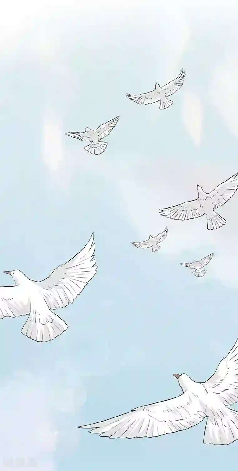 贵少的绯闻女友第1话 王子殿下