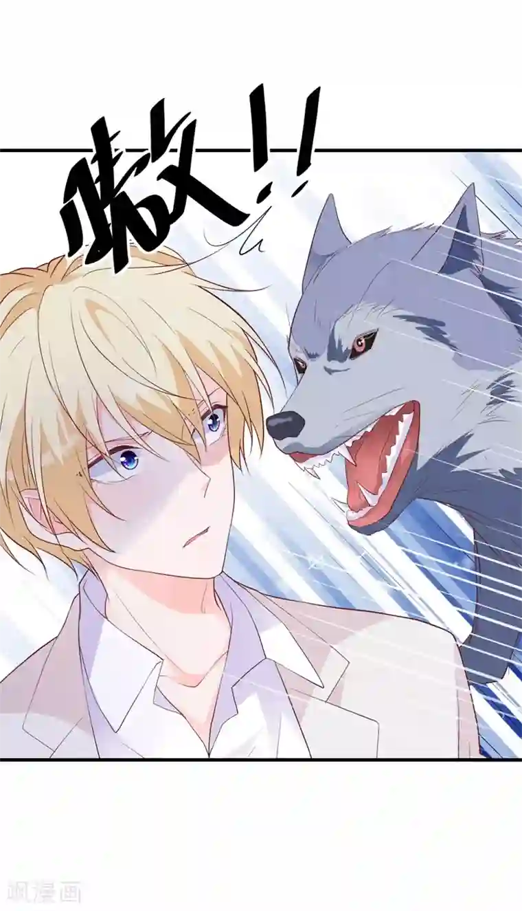 贵少的绯闻女友第38话 与恺撒的对峙