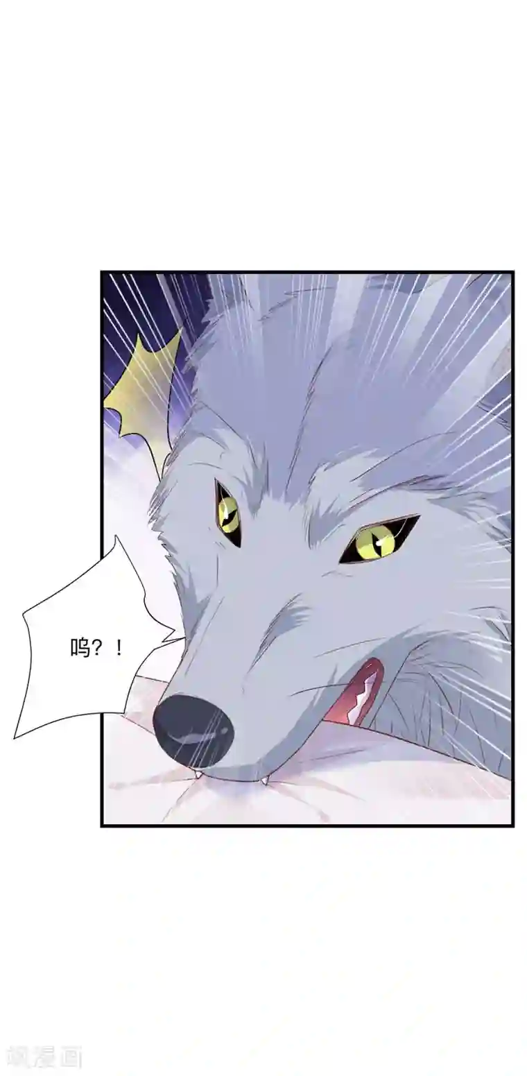 贵少的绯闻女友第39话 危机解除