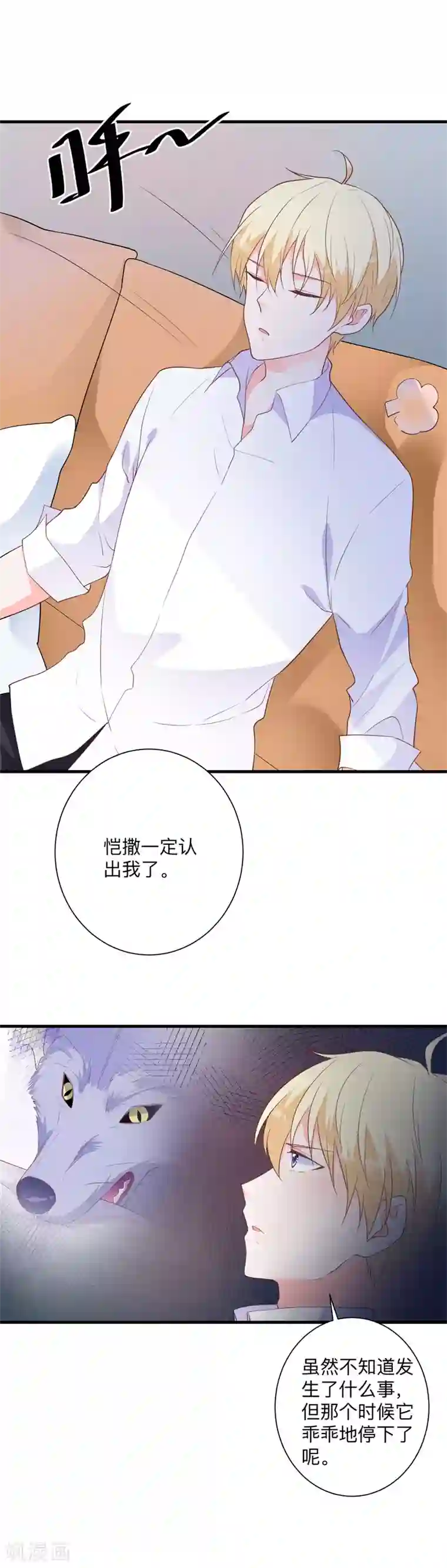 贵少的绯闻女友第42话 我不会让你出事的