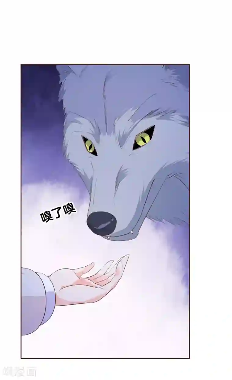 贵少的绯闻女友第44话 再遇恺撒