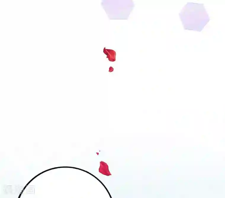 贵少的绯闻女友第66话 喜欢的人