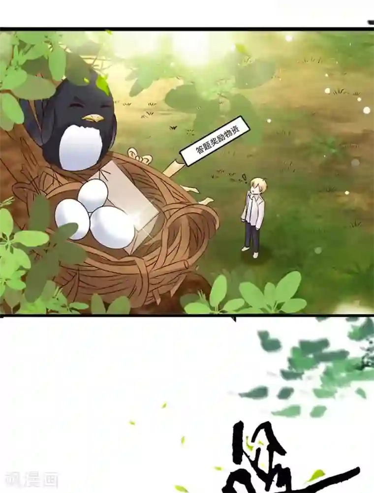 贵少的绯闻女友第72话 金女士来了