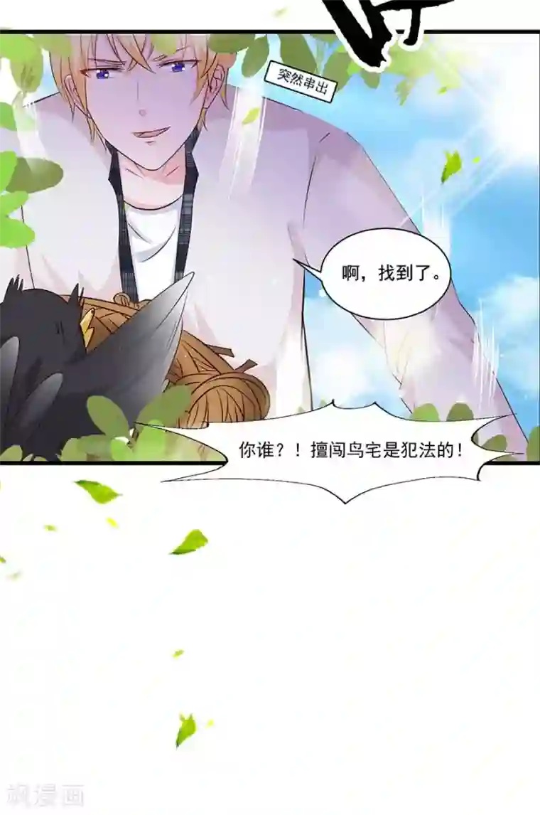 贵少的绯闻女友第72话 金女士来了