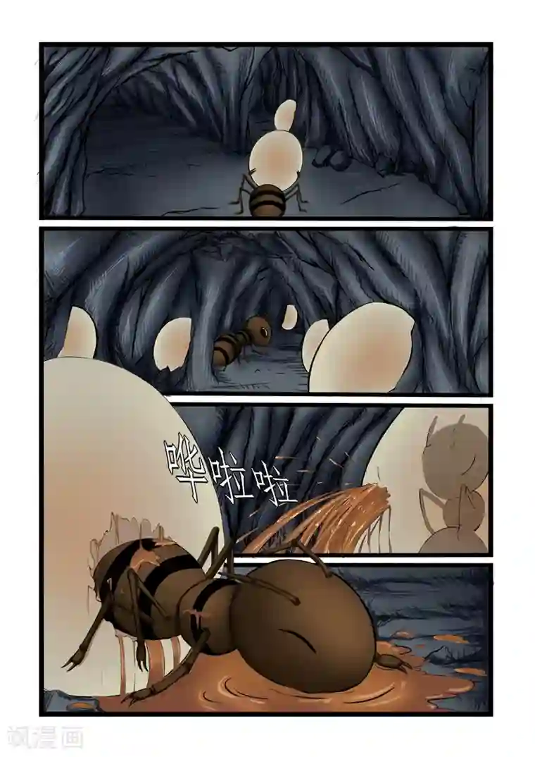 噬龙蚁第1话