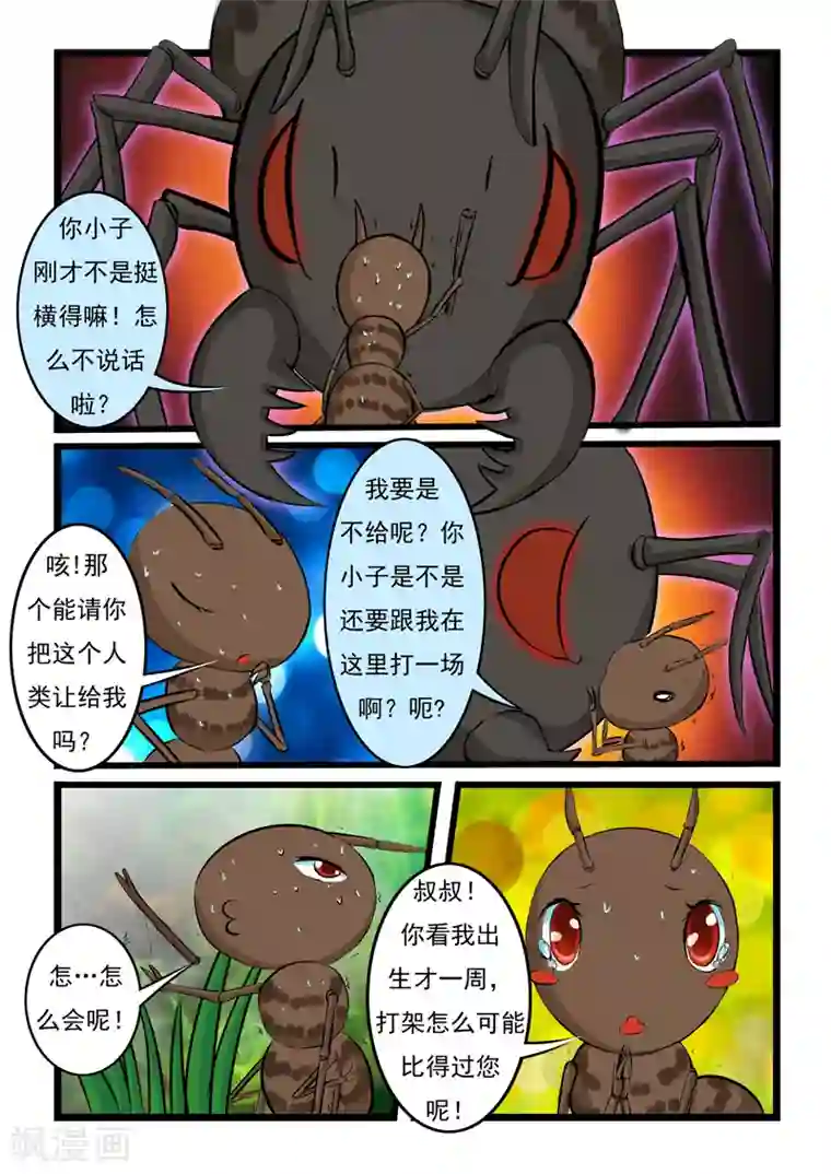噬龙蚁第6话