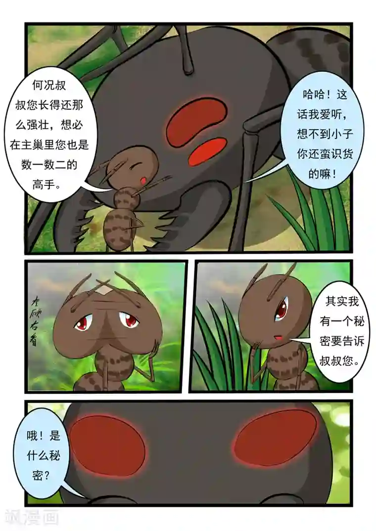 噬龙蚁第6话