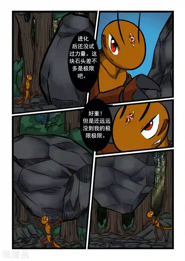 噬龙蚁第57话