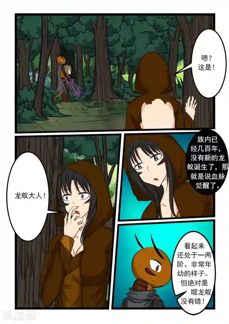 噬龙蚁第67话