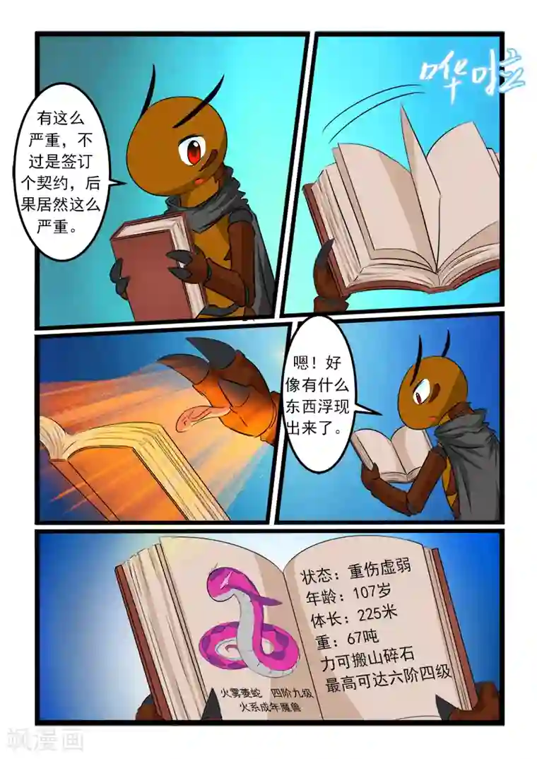 噬龙蚁第77话