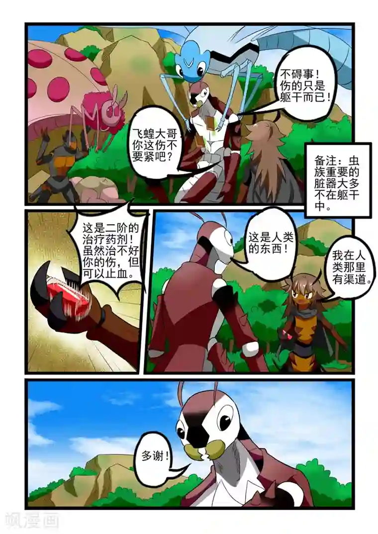噬龙蚁第242话