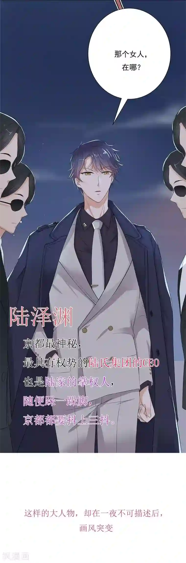 陆少的心尖宠序章