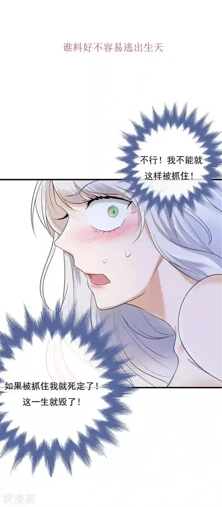 陆少的心尖宠序章