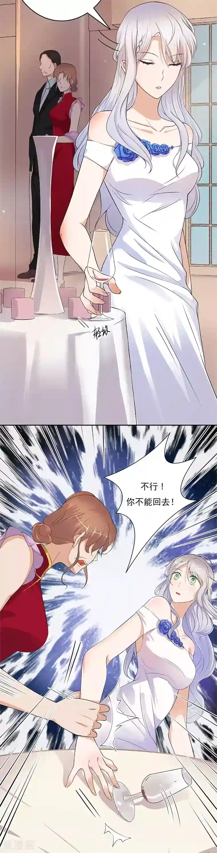 陆少的心尖宠第1话 一个狗血的开端