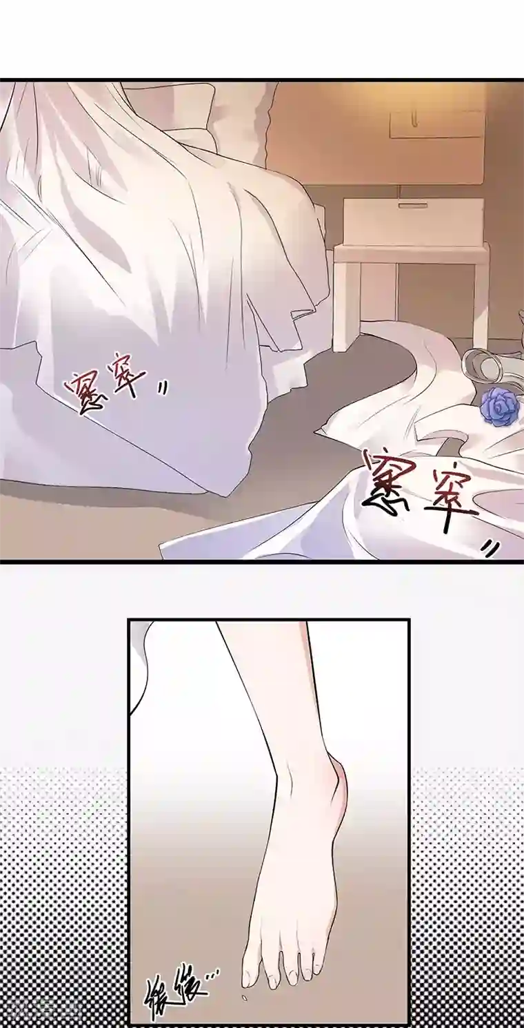 陆少的心尖宠第2话 生命的意义在于和谐