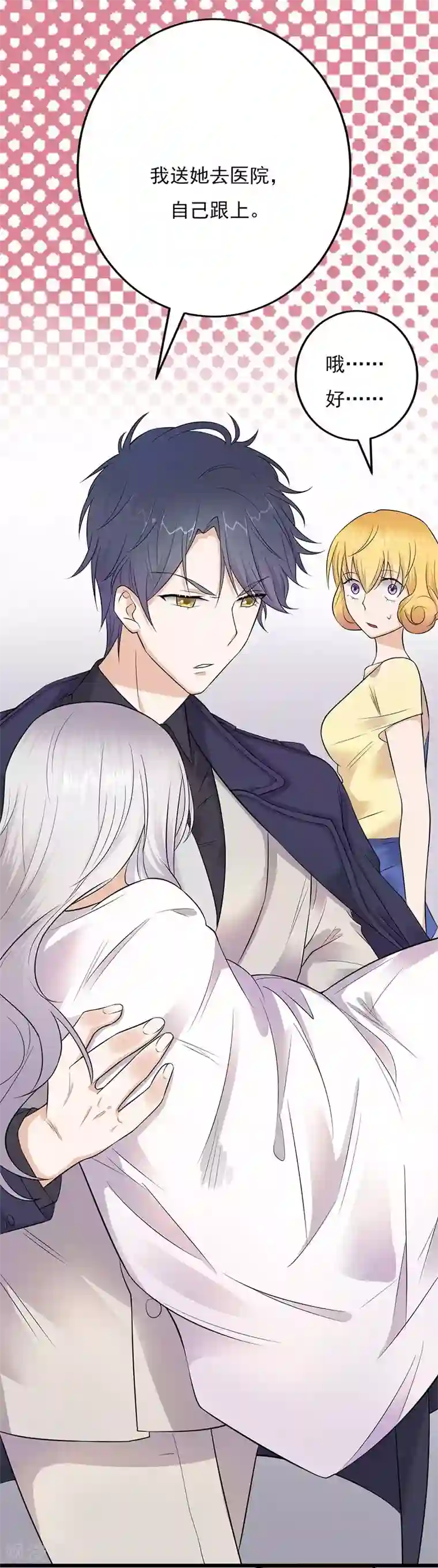 陆少的心尖宠第3话 行车不规范，亲人两行泪