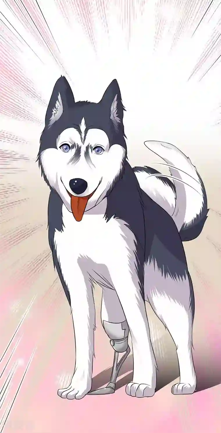 陆少的心尖宠第13话 传说中的陆傲天