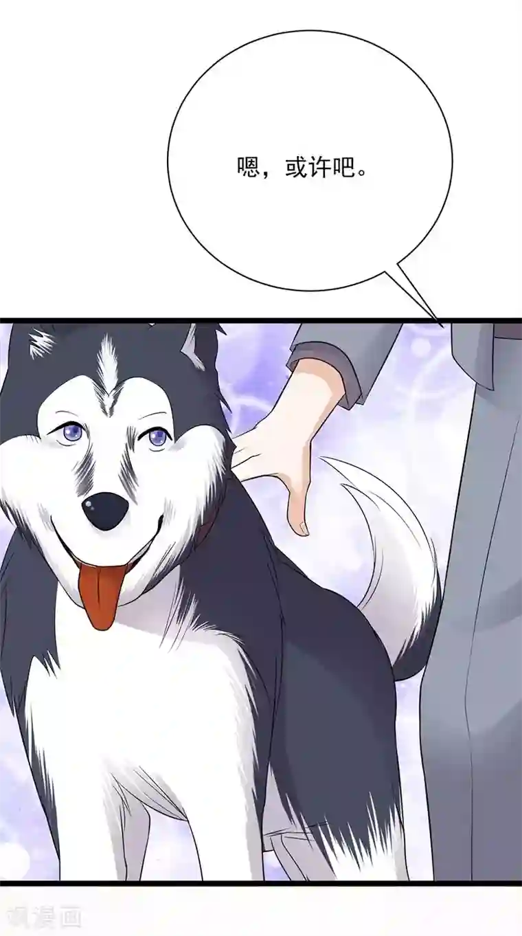 陆少的心尖宠第14话 遇见你也是我的幸运