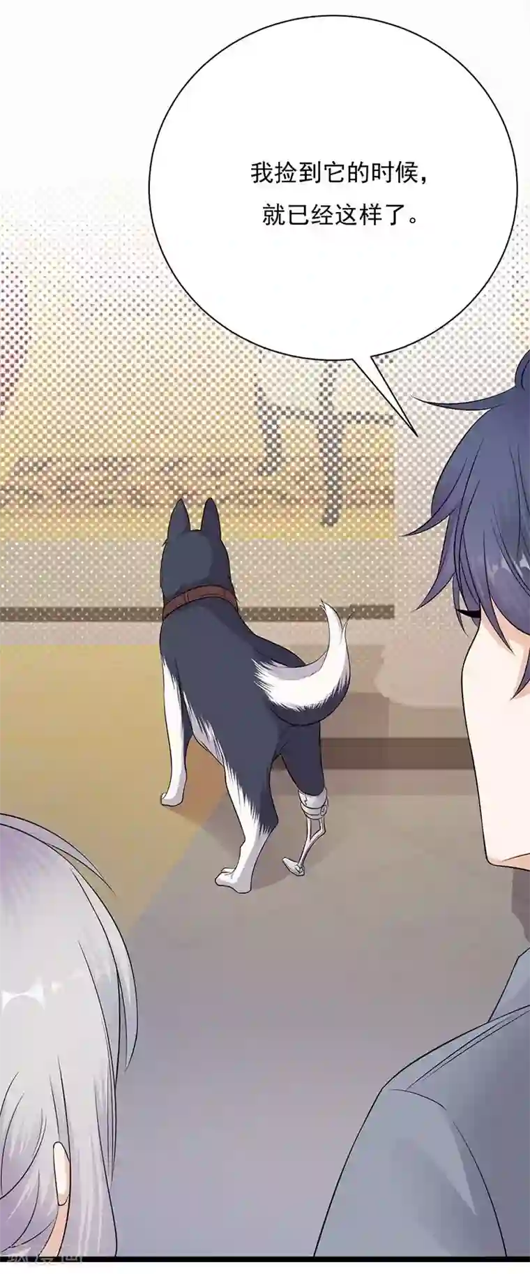 陆少的心尖宠第14话 遇见你也是我的幸运