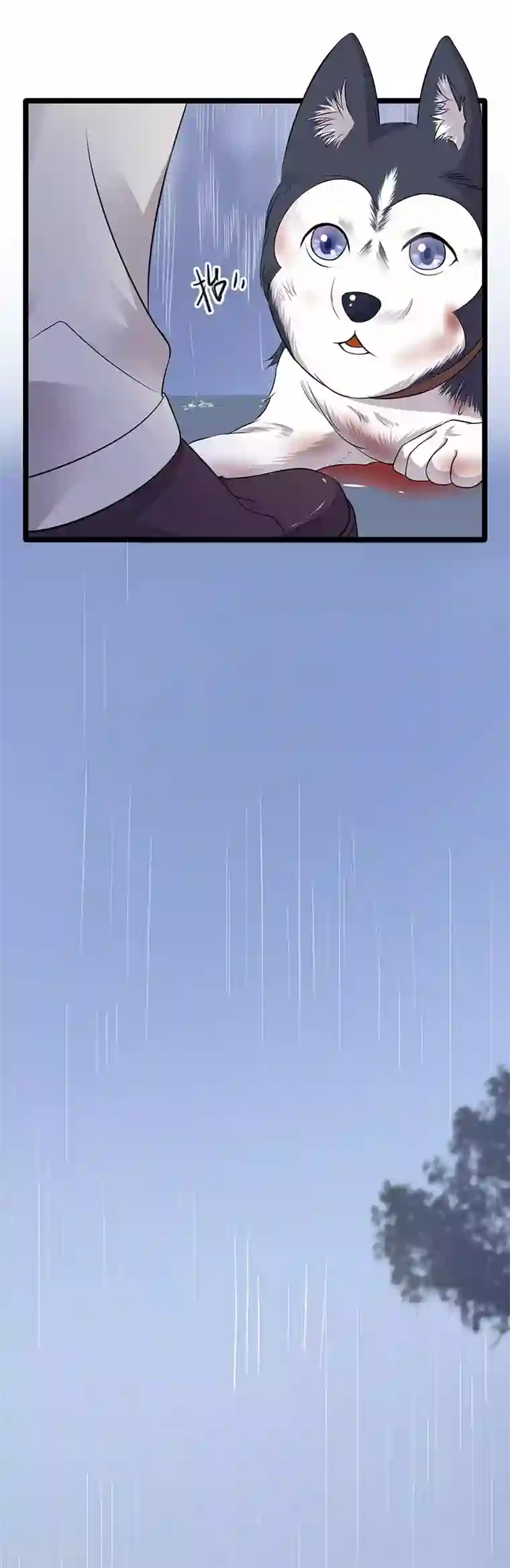 陆少的心尖宠第14话 遇见你也是我的幸运