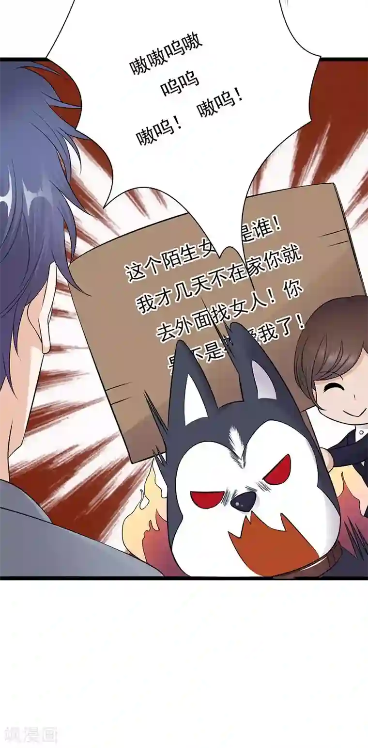 陆少的心尖宠第14话 遇见你也是我的幸运