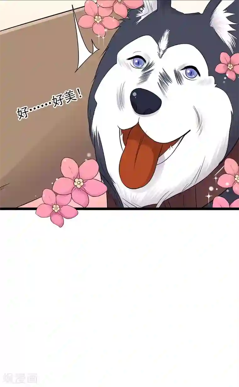 陆少的心尖宠第14话 遇见你也是我的幸运