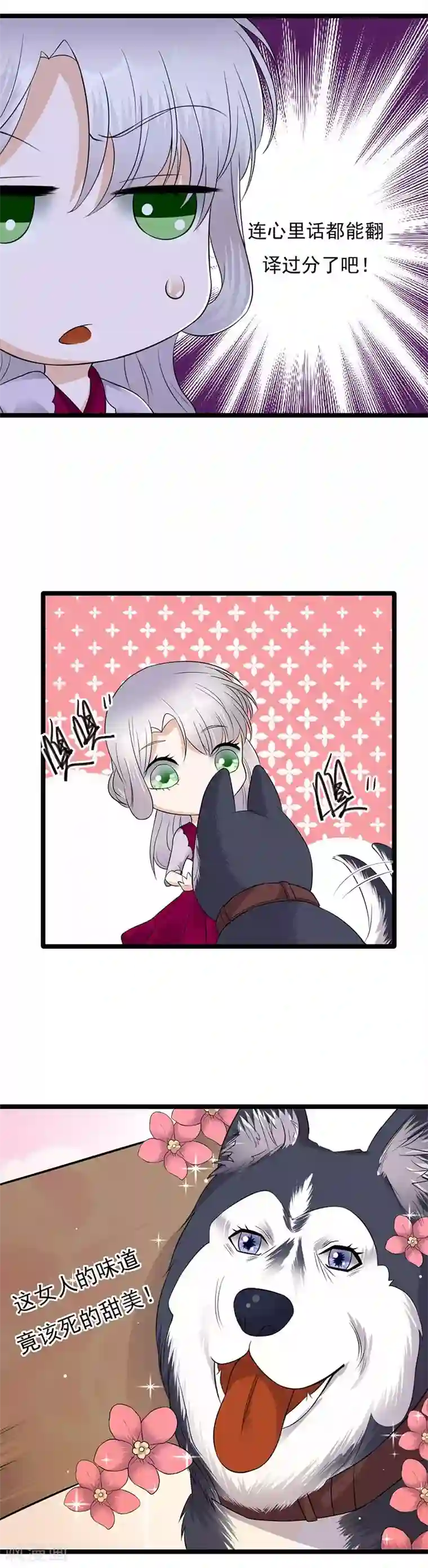 陆少的心尖宠第14话 遇见你也是我的幸运