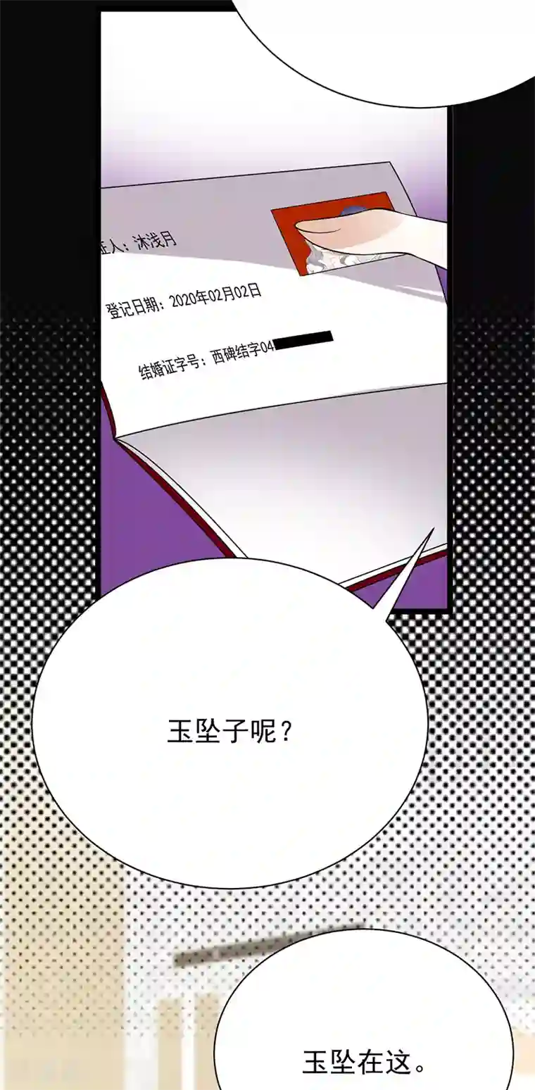 陆少的心尖宠第32话 我们结婚了