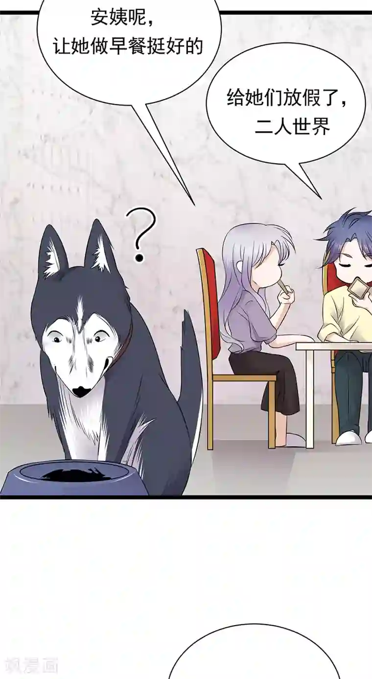 陆少的心尖宠第37话 O型血感觉有被冒犯到