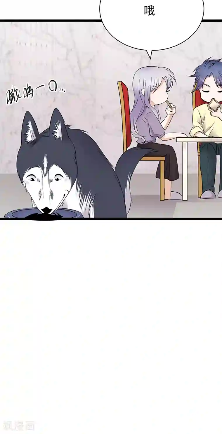 陆少的心尖宠第37话 O型血感觉有被冒犯到