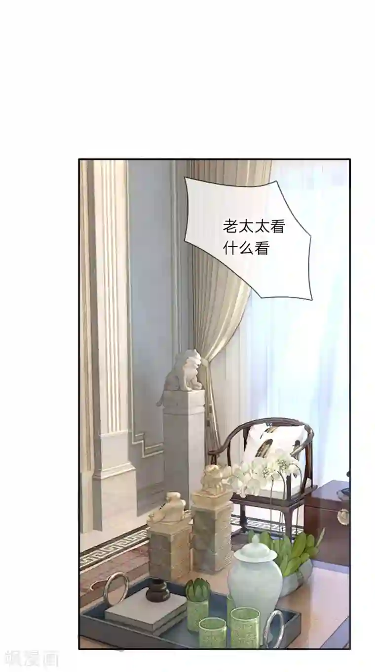 限时婚约：陆总的天价宝贝第5话 奶奶的心愿