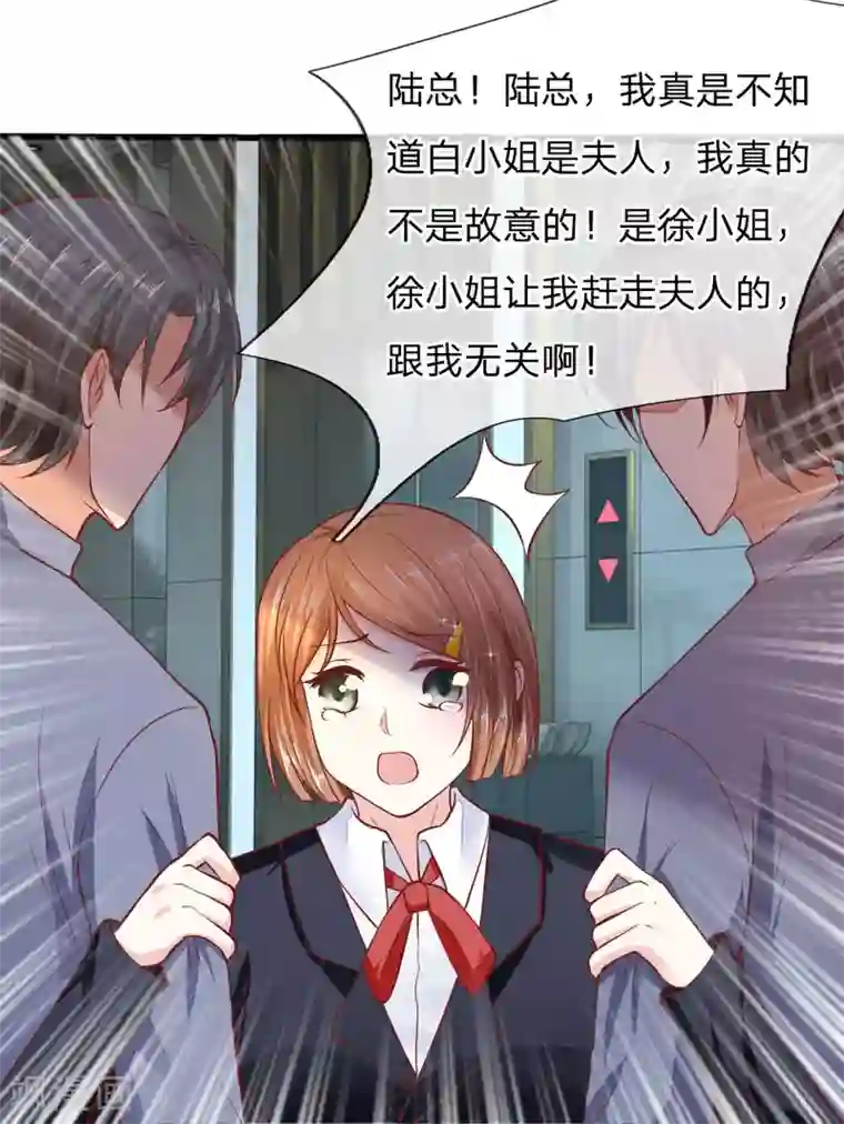 限时婚约：陆总的天价宝贝第20话 再无瓜葛