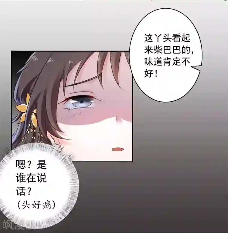 强壮的公么征服我中字预告