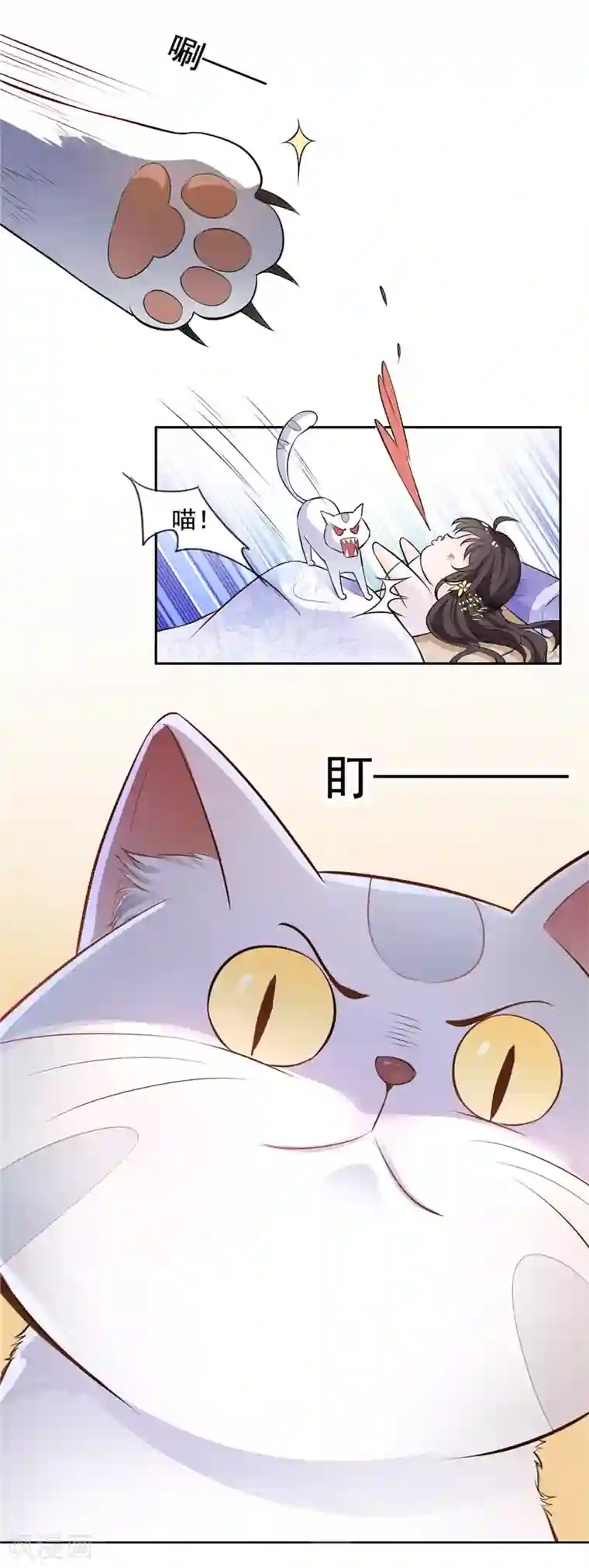 王爷是只大脑斧第3话 猫咪欺负亲主啊！