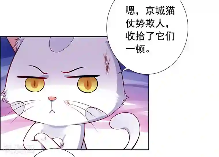 王爷是只大脑斧第15话 怎么又是这货？