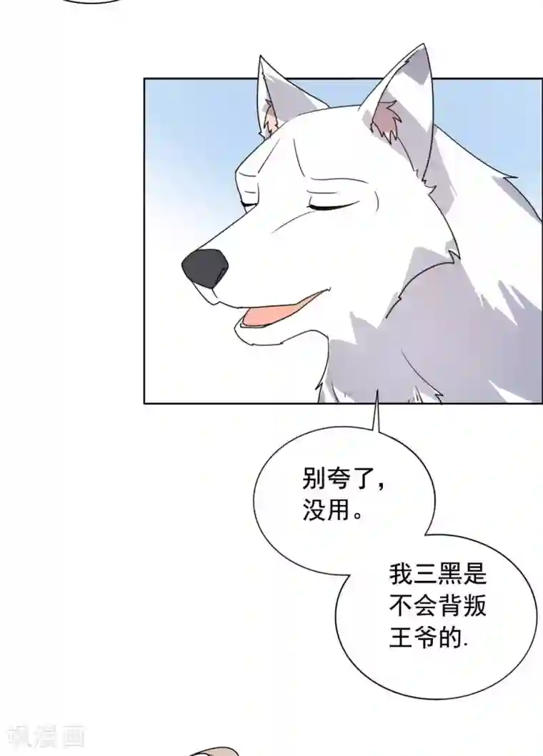 王爷是只大脑斧第22话 玩不过一只狗