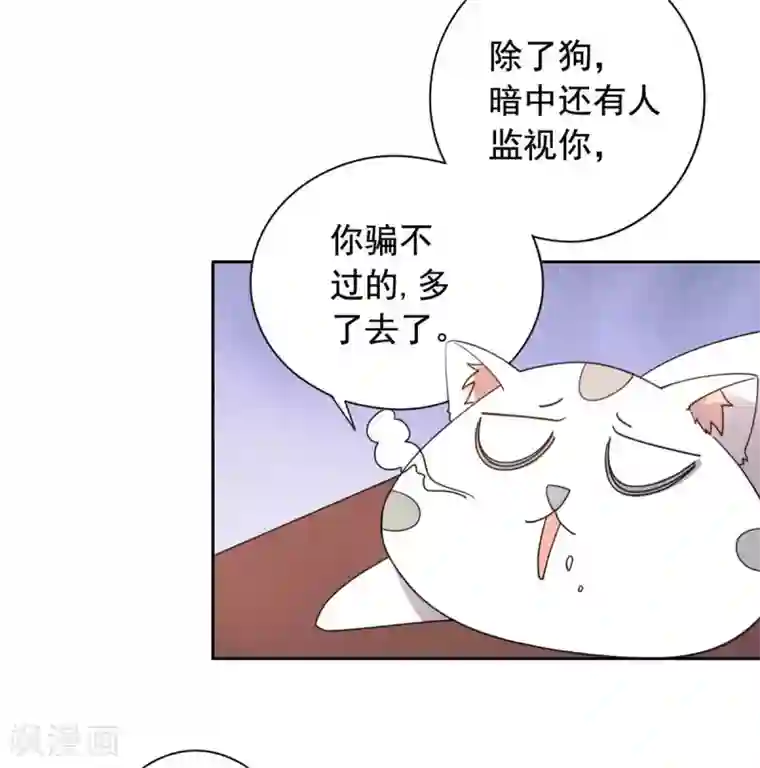王爷是只大脑斧第22话 玩不过一只狗