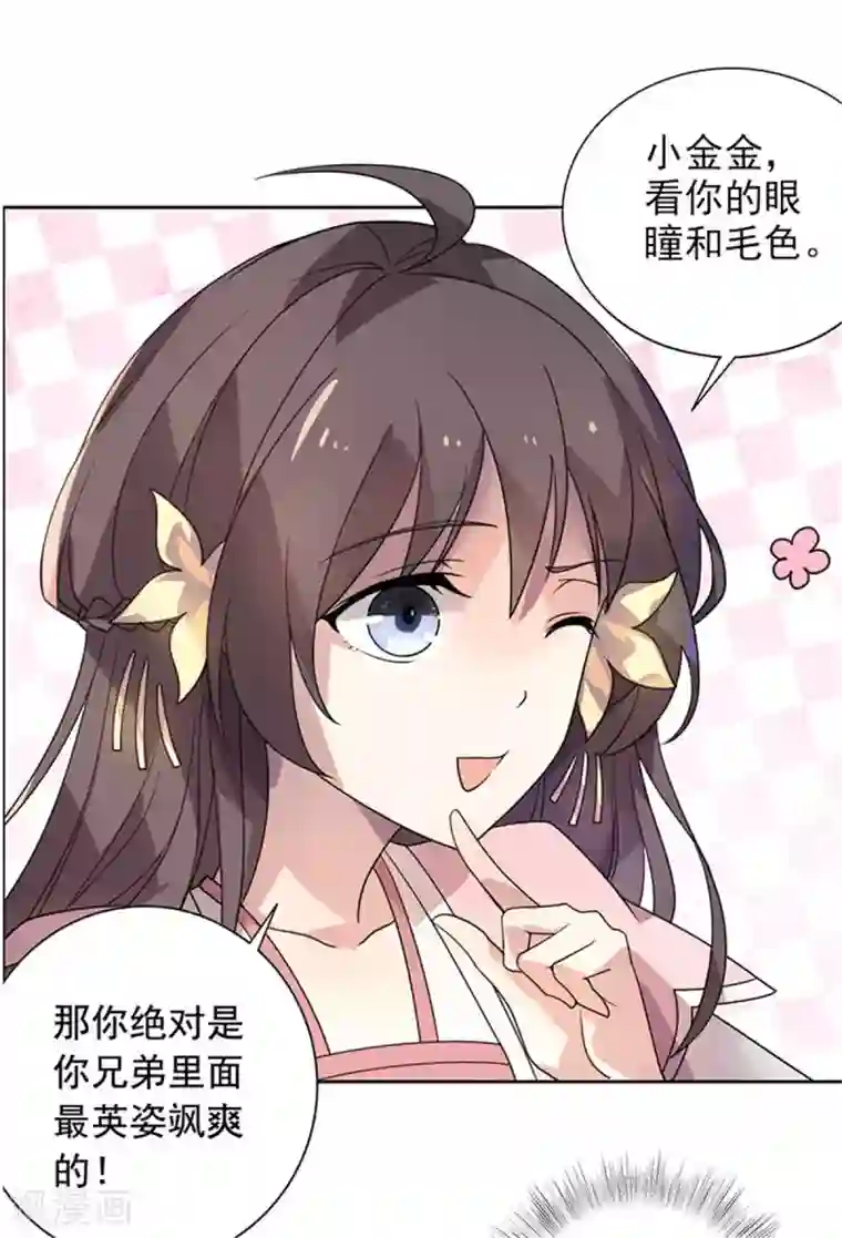 王爷是只大脑斧第22话 玩不过一只狗