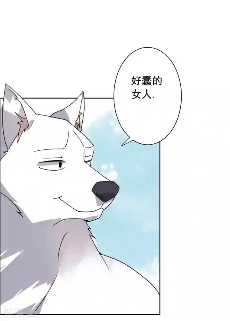 王爷是只大脑斧第23话 被狗狗嫌弃了