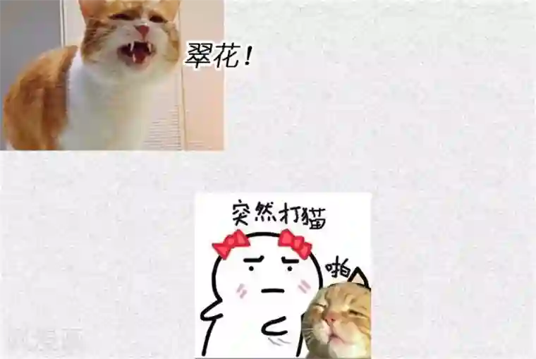 王爷是只大脑斧第24话 我可以帮你