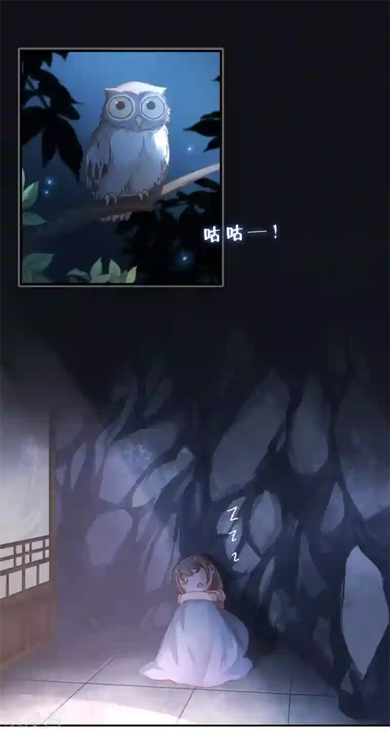 厨厨动人第6话 荷包不见了！