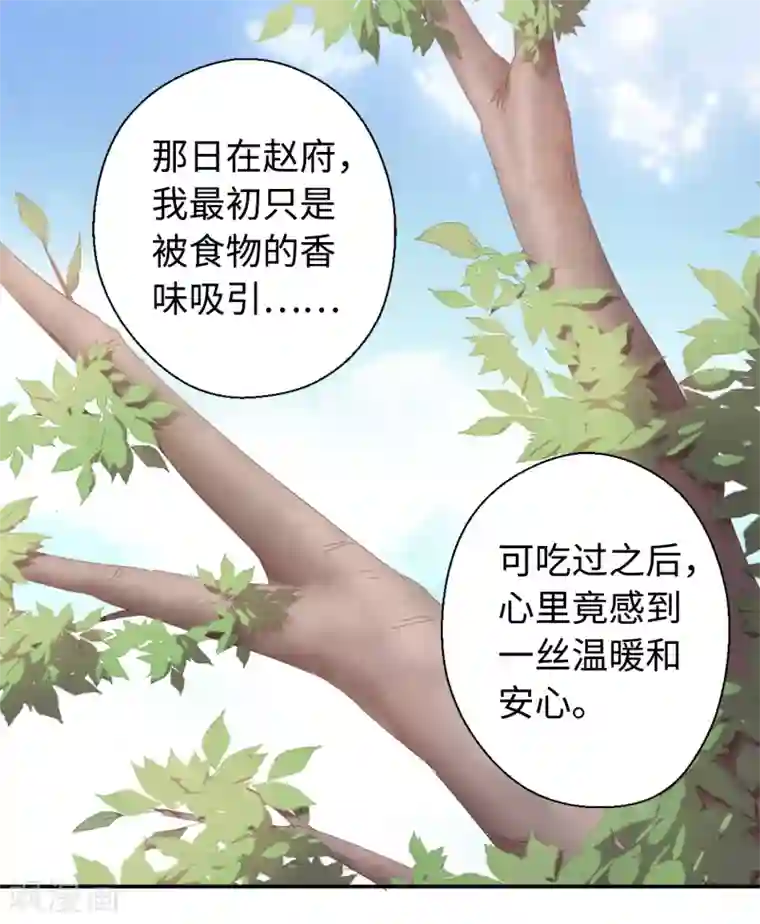 厨厨动人第12话 约法三章
