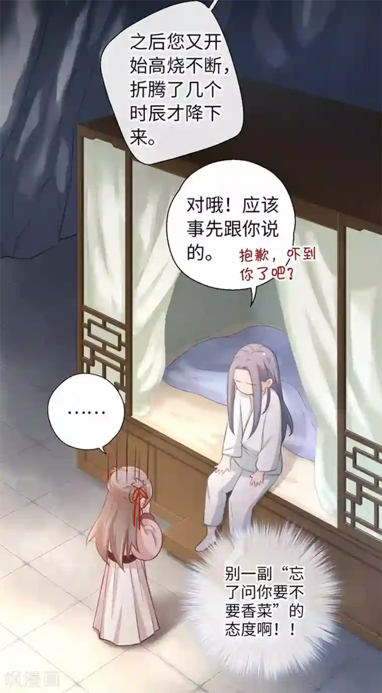 厨厨动人第21话 我什么也没看见