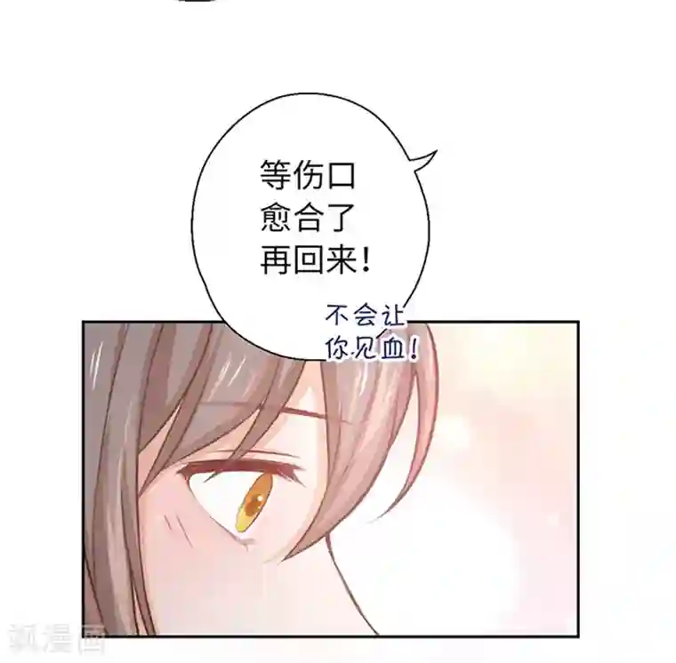 厨厨动人第21话 我什么也没看见