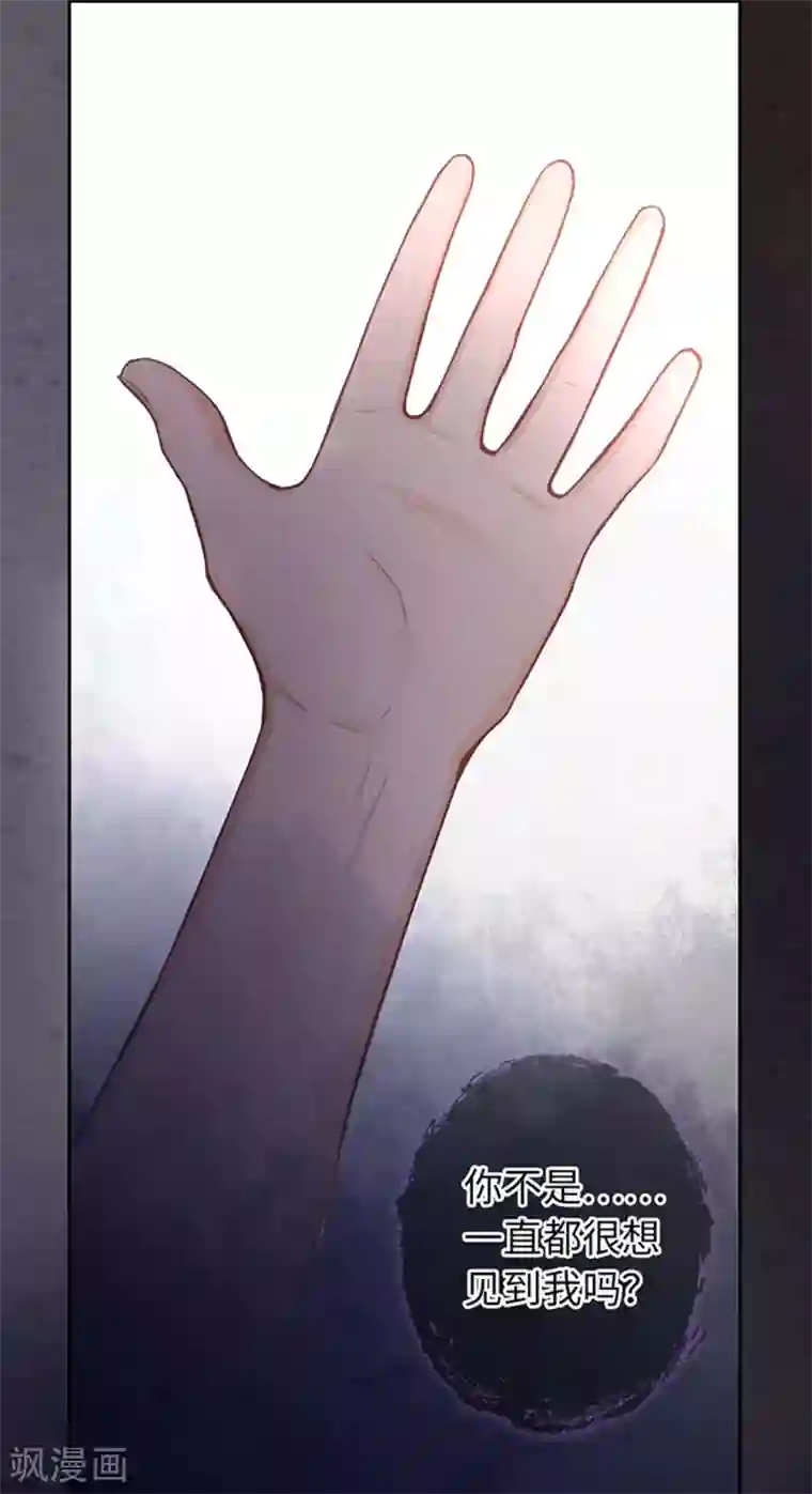 厨厨动人第21话 我什么也没看见