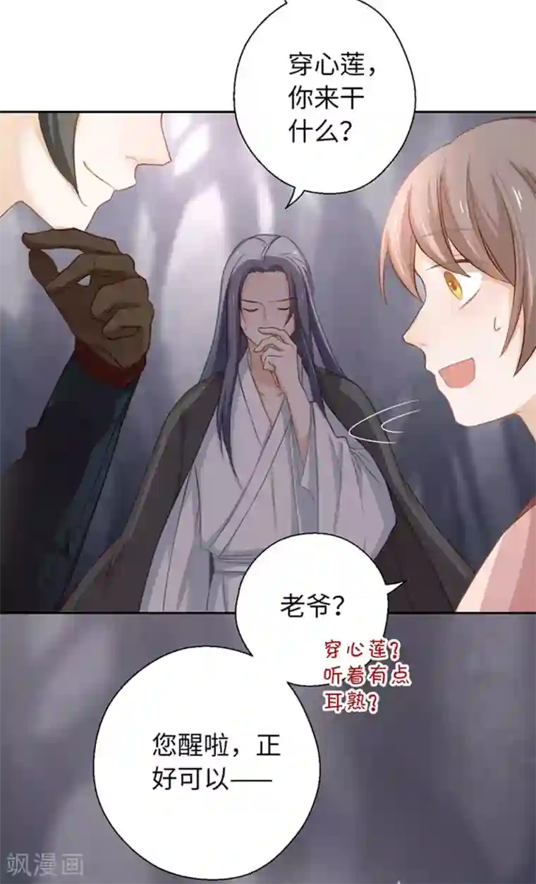 厨厨动人第22话 穿心莲