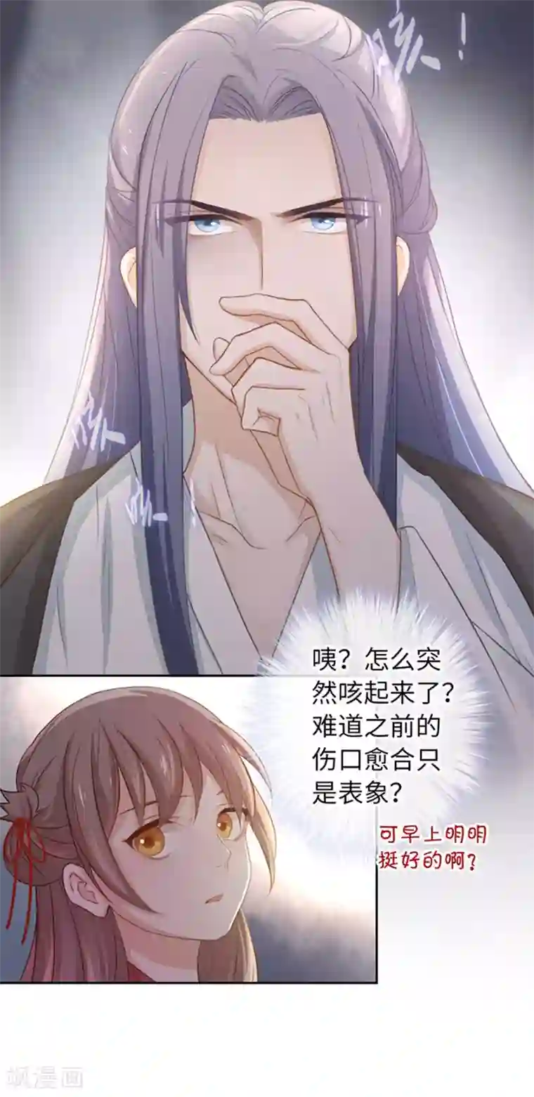 厨厨动人第22话 穿心莲