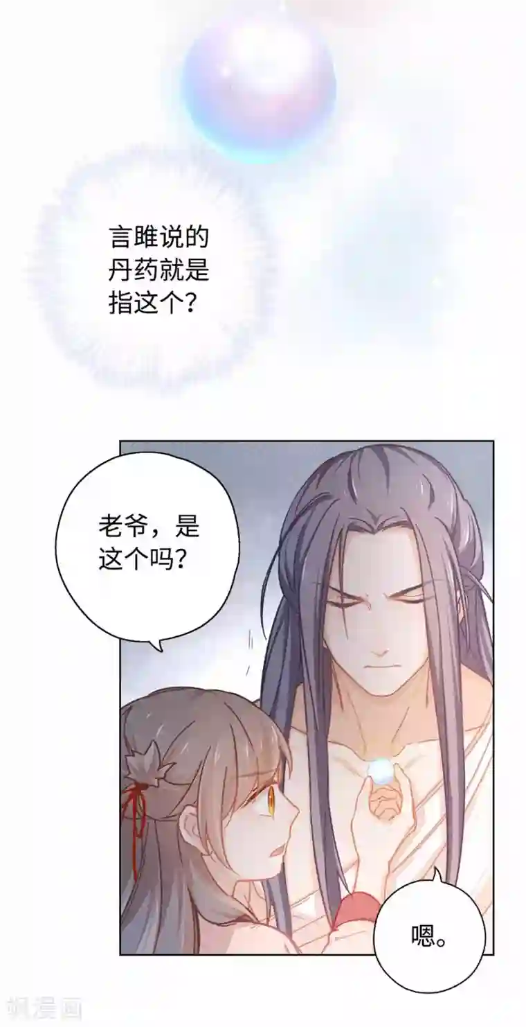 厨厨动人第38话 丹药