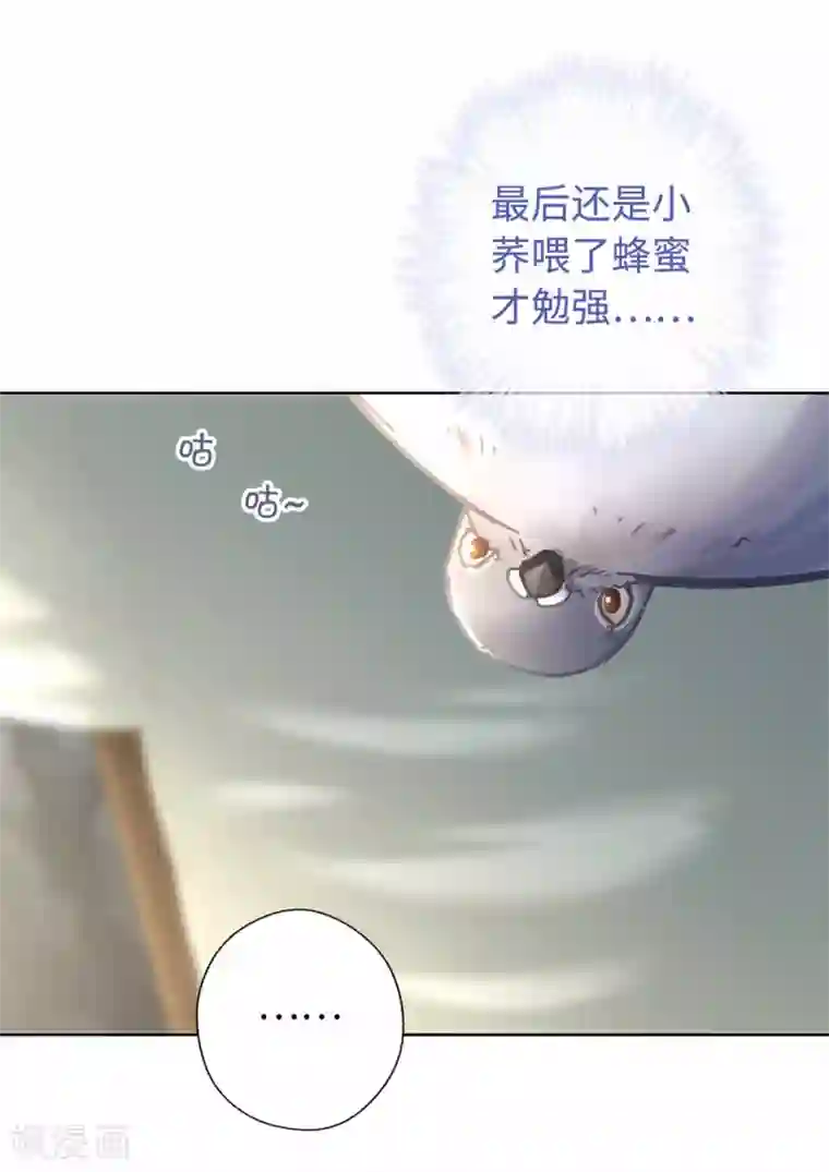 厨厨动人第40话 搬家