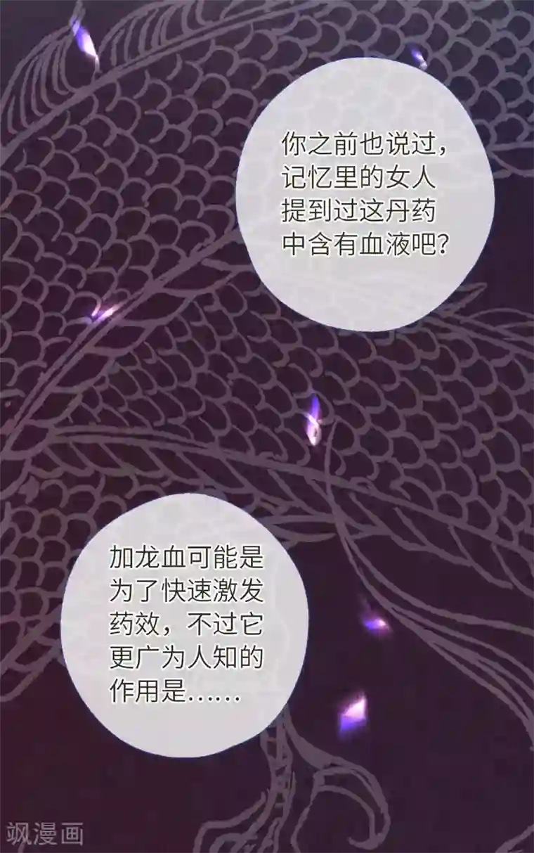 厨厨动人第48话 龙血